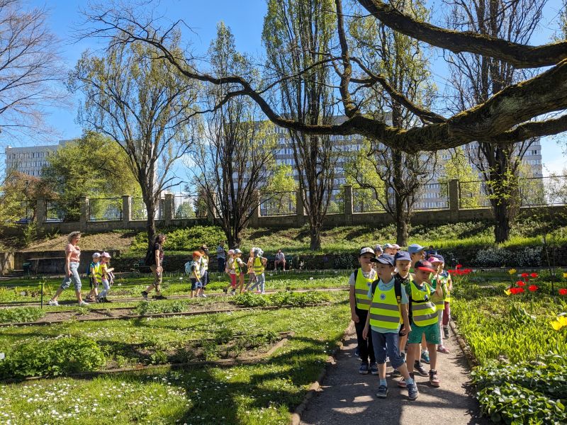 Ogród Botaniczny - zdjęcie 20